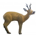 TINTA SPUMA 3D TARGETS 3-D SRT ROEBUCK