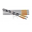 CENTER POINT CP400 BOLTS SAGETI ARBALETA  20 INCH .003 SET 6 BUC