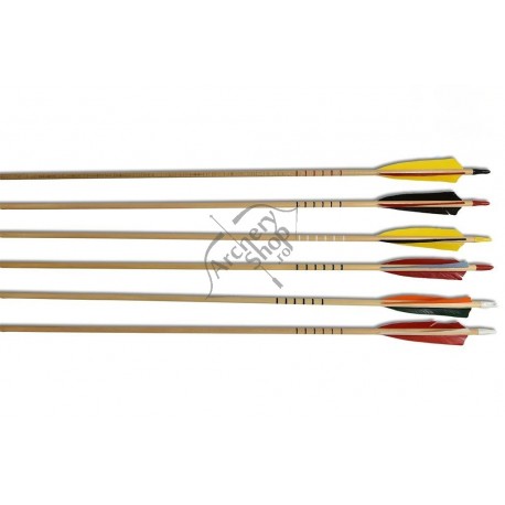 PORT ORFORD SAGETI CEDRU PENE NATURALE 5" SET 6 BUC