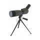 AVALON CLASSIC LUNETA 20X-60X / 60MM