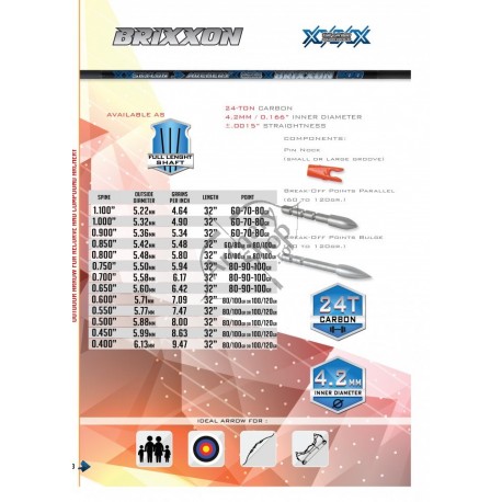 SKYLON BRIXXON SHAFT 4.2 SET 6 BUC