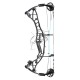 HOYT ECLIPSE EC 2021 ARC COMPOUND