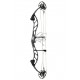 PSE SUPRA RTX 37 SE CAM ARC COMPOUND 2022