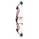 PSE SUPRA RTX 37 SE CAM ARC COMPOUND 2022