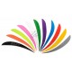 TRUEFLIGHT 5 1/2 INCH PENE NATURALE SHIELD FEATHERS