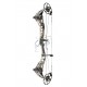 BOWTECH SR350 COLOR DEADLOCK ARC COMPOUND