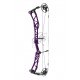 ELITE VERDICT SPX 2023 ARC COMPOUND