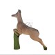 ELEVEN LEEPING DEER CAPRIOARA IN SARITURA TINTA 3D