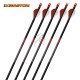EASTON BLOODLINE SAGETI CARBON SET 6 BUC