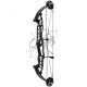 HOYT STRATOS SVX 36 ARC COMPOUND 2023