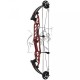 HOYT STRATOS SVX 36 ARC COMPOUND 2023