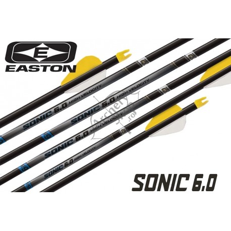 EASTON SONIC CU PENE BULLY SAGETI CARBON SET 6 BUC .003