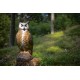 TINTA SPUMA 3D TARGETS 3-D SRT OWL BUFNITA