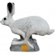 SRT RUNNING WHITE HARE TINTA SPUMA 3D TARGET