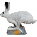 SRT RUNNING SNOW HARE TINTA SPUMA 3D TARGET