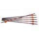 RAVIN CARBON BOLTS SAGETI ARBALETA .003 SET 6 BUC