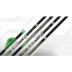 EASTON AXIS LONG RANGE SHAFT CARBON .003 4 MM SET 12 BUC