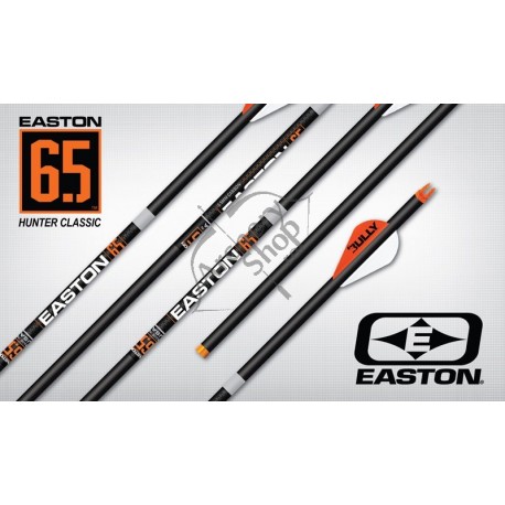 EASTON HUNTER CLASSIC SAGEATA CARBON 6.5 MM .003 SET 6 BUC