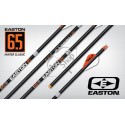 EASTON HUNTER CLASSIC SAGEATA CARBON 6.5 MM .003 SET 6 BUC