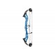 HOYT ALTUS 38 ARC COMPOUND TARGET HBT