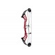 HOYT ALTUS 38 ARC COMPOUND TARGET HBT