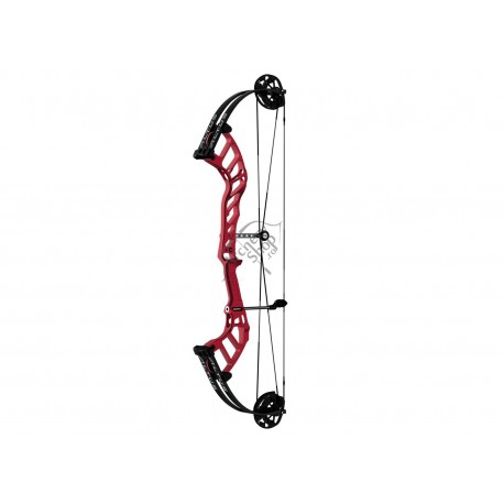 HOYT ALTUS 38 ARC COMPOUND TARGET HBT