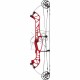 HOYT CONCEPT X 37 ARC COMPOUND 2024