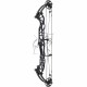 HOYT CONCEPT X 37 ARC COMPOUND 2024