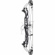 HOYT CONCEPT X 37 ARC COMPOUND 2024