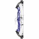 HOYT CONCEPT X 37 ARC COMPOUND 2024
