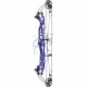 HOYT CONCEPT X 37 ARC COMPOUND 2024