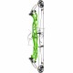 HOYT CONCEPT X 37 ARC COMPOUND 2024