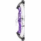 HOYT CONCEPT X 37 ARC COMPOUND 2024