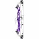 HOYT CONCEPT X 37 ARC COMPOUND 2024