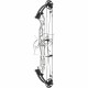 HOYT CONCEPT X 37 ARC COMPOUND 2024