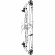 HOYT CONCEPT X 37 ARC COMPOUND 2024