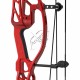 HOYT CONCEPT X 37 ARC COMPOUND 2024