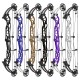 HOYT CONCEPT X 37 ARC COMPOUND 2024