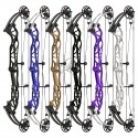 HOYT CONCEPT X 37 ARC COMPOUND