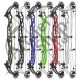 HOYT CONCEPT X 40 ARC COMPOUND 2024