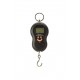 CARBON EXPRESS CANTAR DIGITAL ARC BOW SCALE