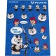 FIVICS PROTECT FILM PENTRU PROTECTIA DE PIEPT
