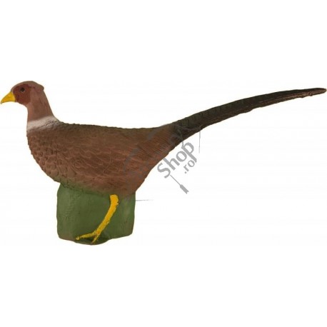 ELEVEN PHEASANT FAZAN TINTA SPUMA 3D TARGETS