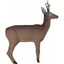 ELEVEN DEER DARK CAPRIOARA TINTA SPUMA 3D TARGETS