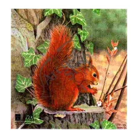 TINTA VEVERITA SQUIRREL