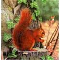 TINTA VEVERITA SQUIRREL