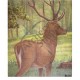 TINTA ANIMAL FACE CERB MARE