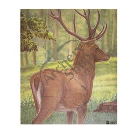 TINTA ANIMAL FACE CERB MARE