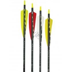 EASTON GAMEGETTER CU PENE NATURALE 4" CUSTOM SAGETI ALU SET 6 BUC
