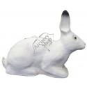 TINTA SPUMA 3D TARGETS 3-D SRT WHITE RABBIT IEPURE